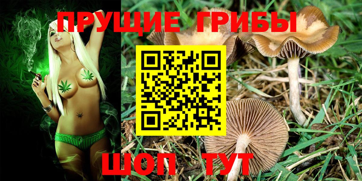 Галлюциногенные грибы ЛСД Жуковский