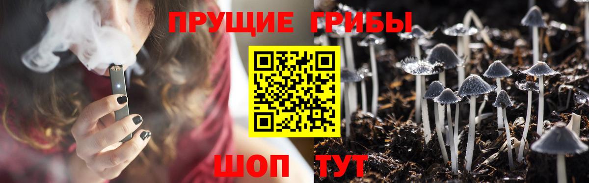 Жуковский  Псилоцибиновые грибы мухоморы  Вход с VPN 